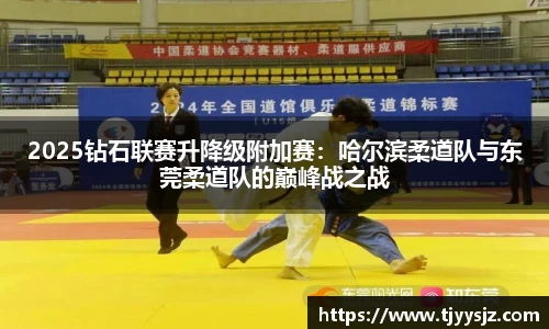 2025钻石联赛升降级附加赛：哈尔滨柔道队与东莞柔道队的巅峰战之战